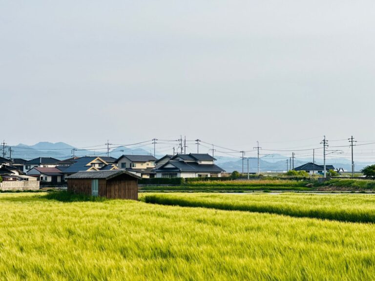 田園と集落の風景（イメージ写真）