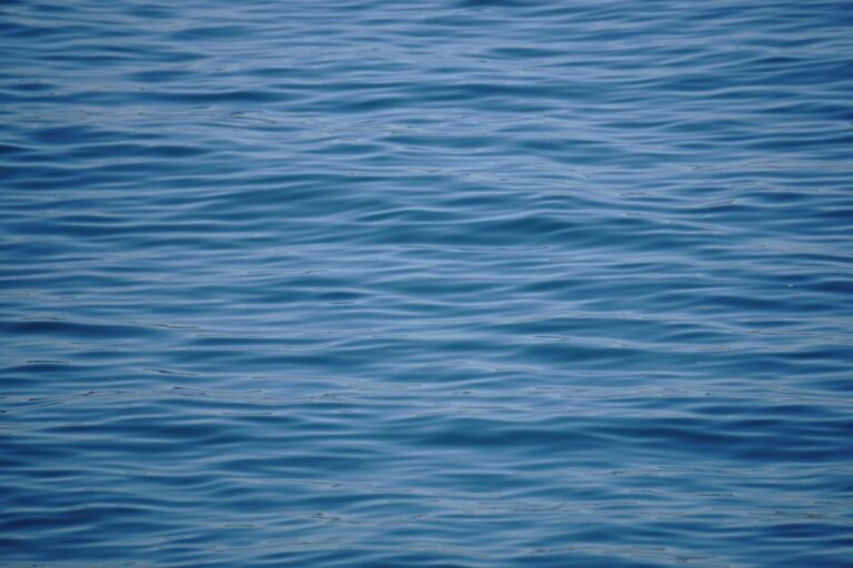 穏やかな海（イメージ写真）